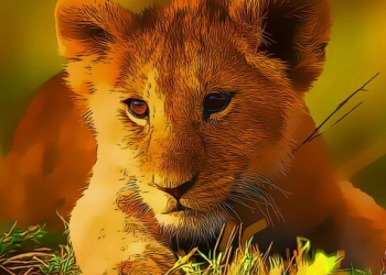 Wild Baby Animals Jigsaw